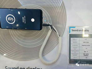 盤點(diǎn)2018sid年會(huì)展 三星顯示 lg display 京東方 友達(dá)光電 jdi 天馬微電子 維信諾 華山論劍